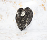 Polished Orthoceras Heart Plate