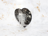 Polished Orthoceras Heart Plate