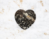 Polished Orthoceras Heart Plate