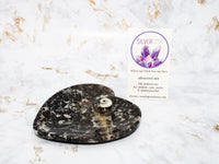 Polished Orthoceras Heart Plate