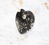 Polished Orthoceras Heart Plate