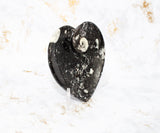 Polished Orthoceras Heart Plate