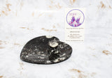 Polished Orthoceras Heart Plate