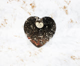 Polished Orthoceras Heart Plate