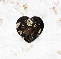 Polished Orthoceras Heart Plate