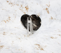 Polished Orthoceras Heart Plate