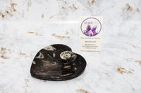 Polished Orthoceras Heart Plate