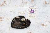Polished Orthoceras Heart Plate