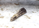 Natural Bahia Amethyst Wand