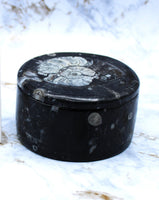 Polished Orthoceras Box