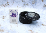 Polished Orthoceras Box