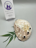 Abalone Shell