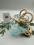 Glass planter with rope handle and greenery on a white background