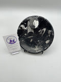 Polished Orthoceras Bowl