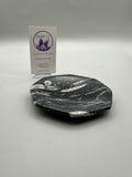 Polished Orthoceras Fossil Plate