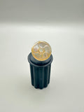 Indonesian Shell Ring