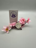 Indonesian Shell Ring flower