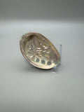 Polished Abalone Shell