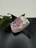 Eudialyte Specimen