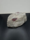 Eudialyte Specimen