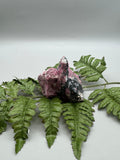 Eudialyte Specimen