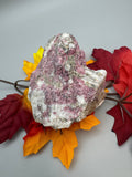 Eudialyte Specimen
