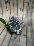 Eudialyte Specimen