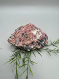 Eudialyte Specimen