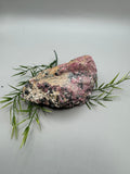 Eudialyte Specimen