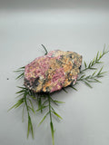 Eudialyte Specimen