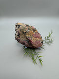 Eudialyte Specimen