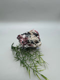 Eudialyte Specimen
