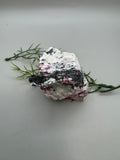 Eudialyte Specimen