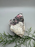 Eudialyte Specimen