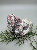 Eudialyte Specimen