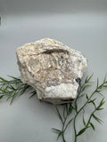 Eudialyte Specimen