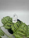 Clear Quartz Towers