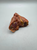 Arizona Petrified Wood