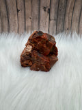 Arizona Petrified Wood