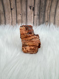 Arizona Petrified Wood