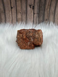 Arizona Petrified Wood