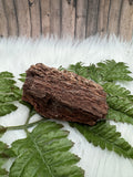 Arizona Petrified Wood