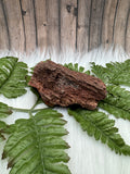 Arizona Petrified Wood