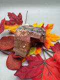 Arizona Petrified Wood