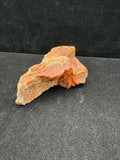 Arizona Petrified Wood