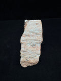 Arizona Petrified Wood