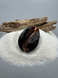 Indonesian shell
