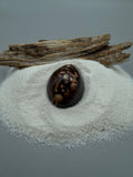 Indonesian shell