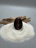 Indonesian shell