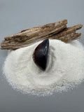 Indonesian shell